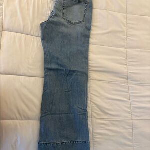 Blue Denim Jeans (J Crew)